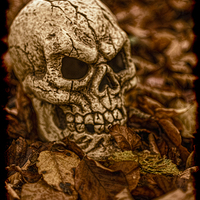 Buy canvas prints of Halloween Skull 2 by Steve Purnell
