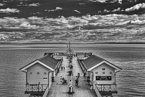 View Over The Pier Mono Picture Board by Steve Purnell