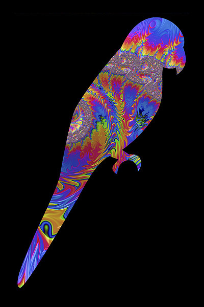 Fractal Parrot on Black Picture Board by Steve Purnell