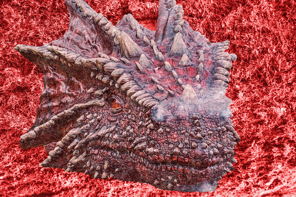 Fire Dragon Picture Board by Steve Purnell