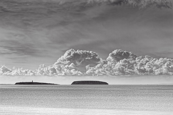 Flat Holm And Steep Holm Mono Picture Board by Steve Purnell