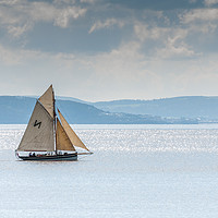 Buy canvas prints of Falmouth Working Boat by Steve Purnell