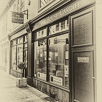 Buy canvas prints of The Bear Shop Antique by Steve Purnell