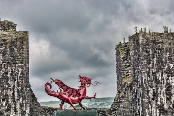 Gareth The Dragon 1 Picture Board by Steve Purnell