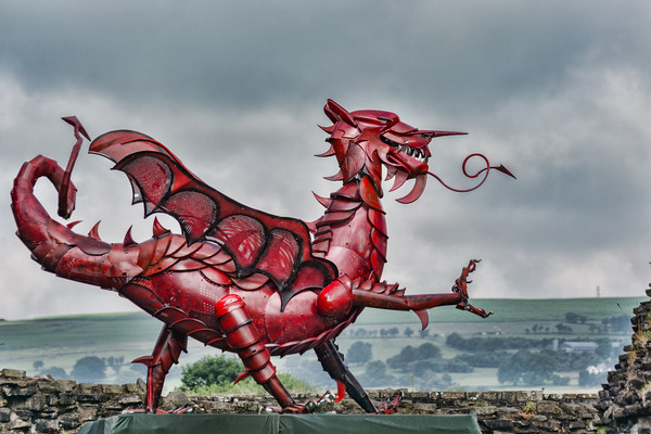 Gareth The Dragon 2 Picture Board by Steve Purnell