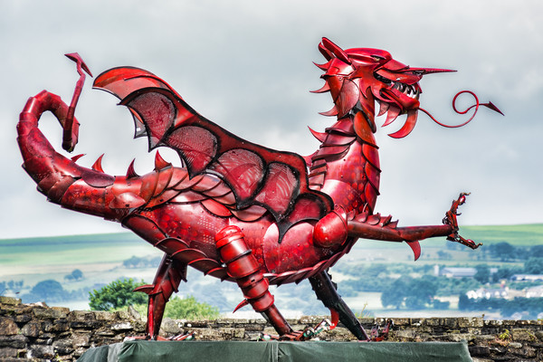 Gareth The Dragon 4 Picture Board by Steve Purnell