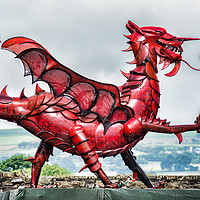Buy canvas prints of Gareth The Dragon 4 by Steve Purnell