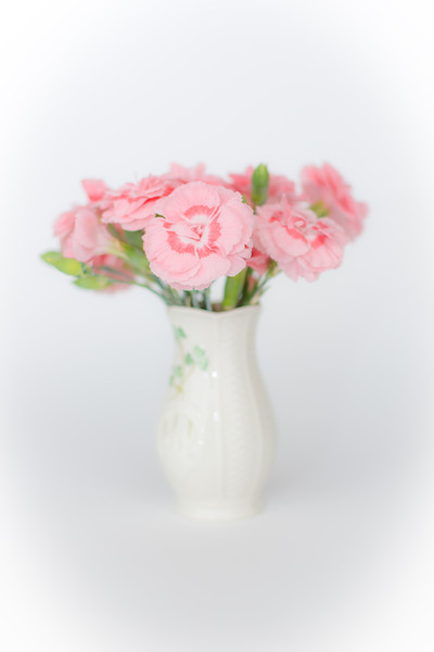 Pink Carnations 1 Picture Board by Steve Purnell