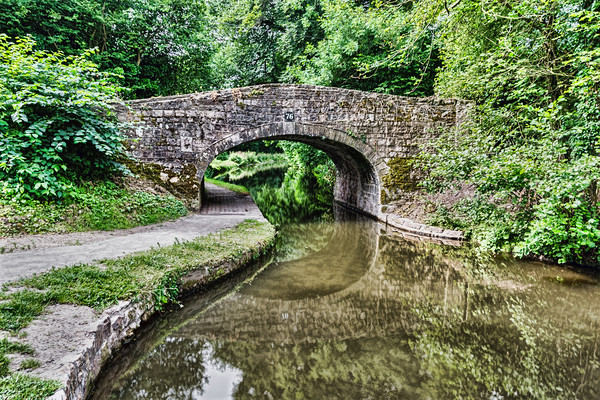 Bridge 76 Goytre Wharf Picture Board by Steve Purnell