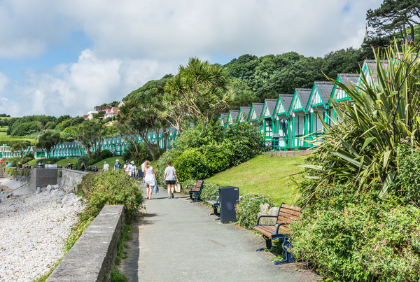 Beach Huts 6 Picture Board by Steve Purnell