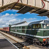 Buy canvas prints of Class 31 Diesel 1 by Steve Purnell