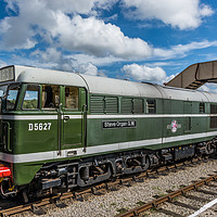 Buy canvas prints of Class 31 Diesel 2 by Steve Purnell