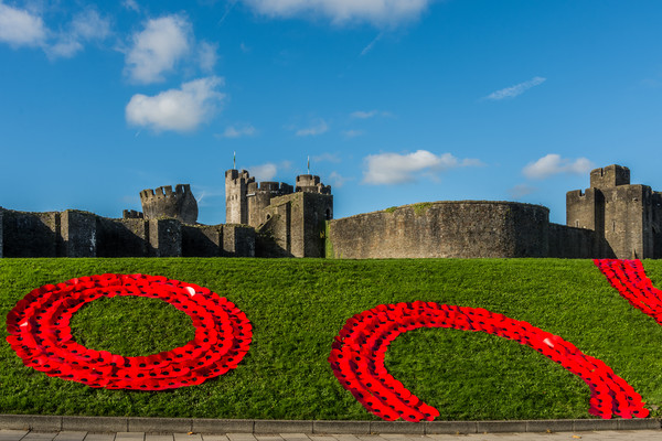 Caerphilly Castle Remembers Picture Board by Steve Purnell