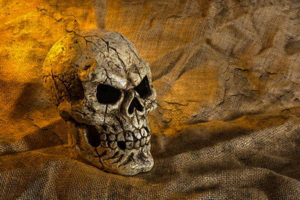 Skull And Sackcloth Picture Board by Steve Purnell