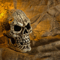 Buy canvas prints of Skull And Sackcloth by Steve Purnell