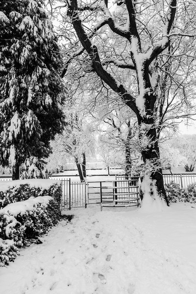 Kissing Gate In The Snow Picture Board by Steve Purnell