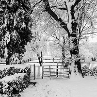 Buy canvas prints of Kissing Gate In The Snow by Steve Purnell