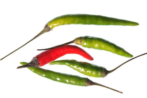 Odd Chilli Out Picture Board by Steve Purnell
