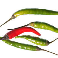 Buy canvas prints of Odd Chilli Out by Steve Purnell