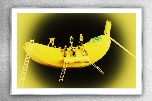 Banana Boat Mining Company Silver Frame Picture Board by Steve Purnell