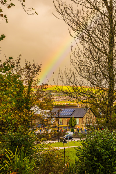 Rainbow Through The Trees Picture Board by Steve Purnell