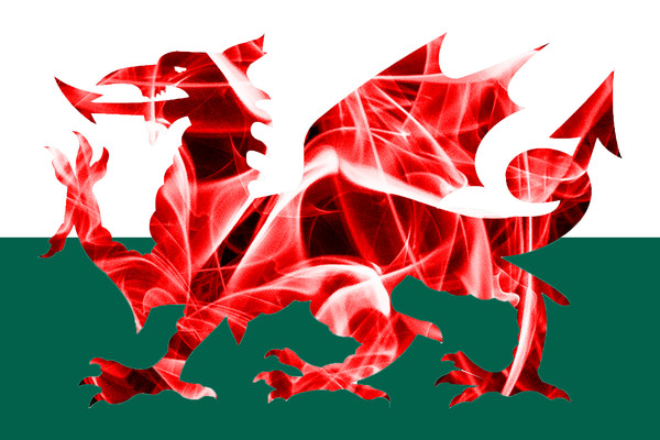 The Welsh Smoke Dragon Picture Board by Steve Purnell