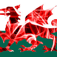 Buy canvas prints of The Welsh Smoke Dragon by Steve Purnell