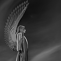 Buy canvas prints of Ethereal Angel 2 by Steve Purnell