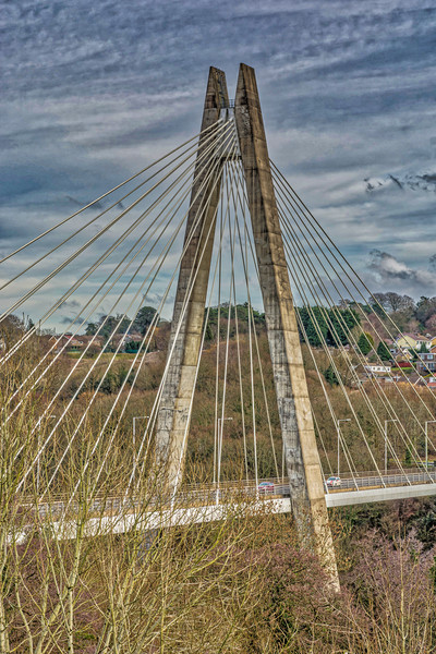 Chartist Bridge Blackwood 3 Picture Board by Steve Purnell