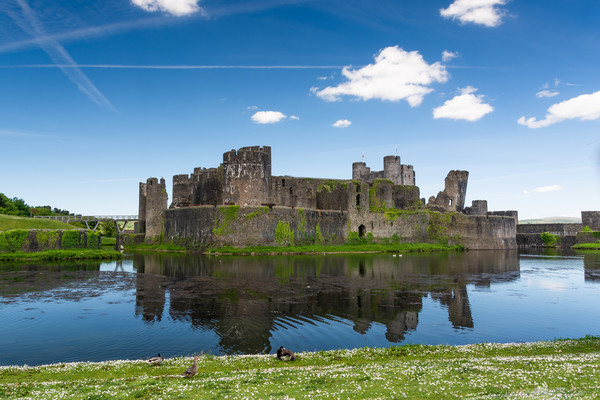Spring At Caerphilly Castle 1 Picture Board by Steve Purnell