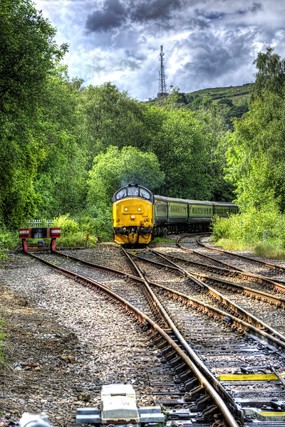 Class 37 Locomotive Picture Board by Steve Purnell
