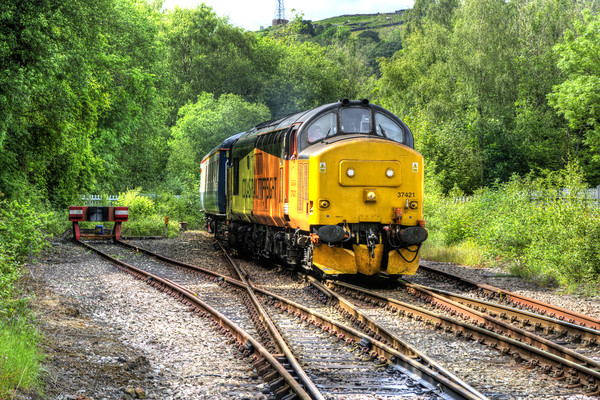 Powerful Class 37 Locomotive Picture Board by Steve Purnell