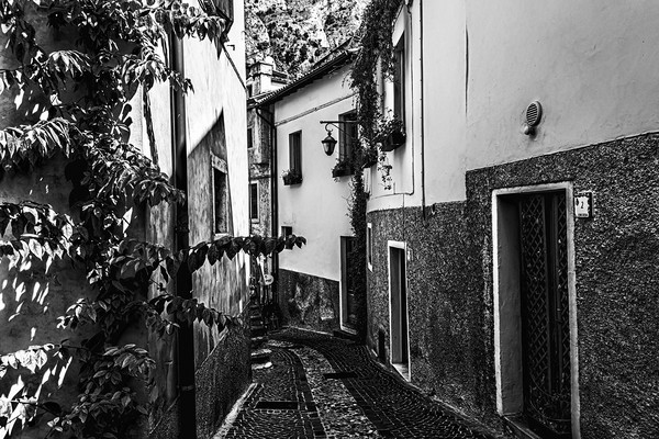 Limone Back Streets Mono Picture Board by Steve Purnell