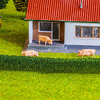 Buy canvas prints of Three Little Pigs Dream Home by Steve Purnell
