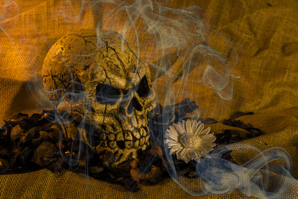 Skull Smoke And Flowers Picture Board by Steve Purnell
