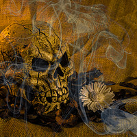 Buy canvas prints of Skull Smoke And Flowers by Steve Purnell