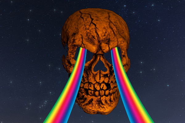 Dark Side Of The Skull Picture Board by Steve Purnell