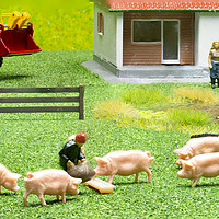 Buy canvas prints of Feeding The Pigs 2 by Steve Purnell
