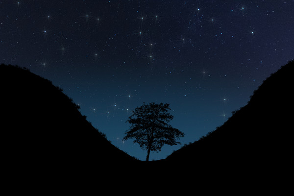 Sycamore Gap Night Sky Digital Picture Board by Steve Purnell