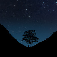 Buy canvas prints of Sycamore Gap Night Sky Digital by Steve Purnell