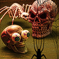 Buy canvas prints of Attack Of The Skeleton Spider by Steve Purnell