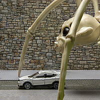 Buy canvas prints of Attack Of The Skeleton Spider 3 by Steve Purnell