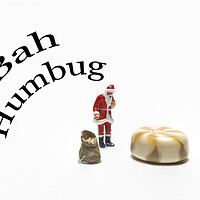 Buy canvas prints of Bah Humbug by Steve Purnell