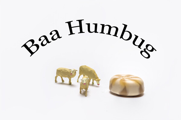 Baa Humbug Picture Board by Steve Purnell