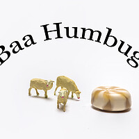 Buy canvas prints of Baa Humbug by Steve Purnell