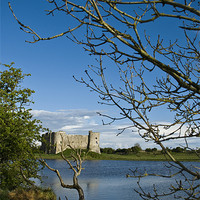 Buy canvas prints of Carew Castle by Steve Purnell