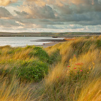 Buy canvas prints of Last light On Instow Sand Dunes by Andrew Wheatley