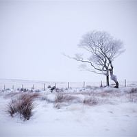 Buy canvas prints of A Winter Dance II by Andrew Wheatley