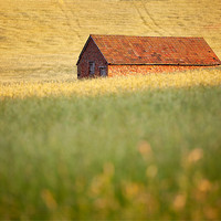 Buy canvas prints of The Little Barn Exmoor by Andrew Wheatley