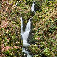 Buy canvas prints of Stock Ghyll Force Ambleside by Roger Green